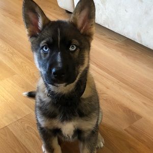 Meet your Posher, Briana